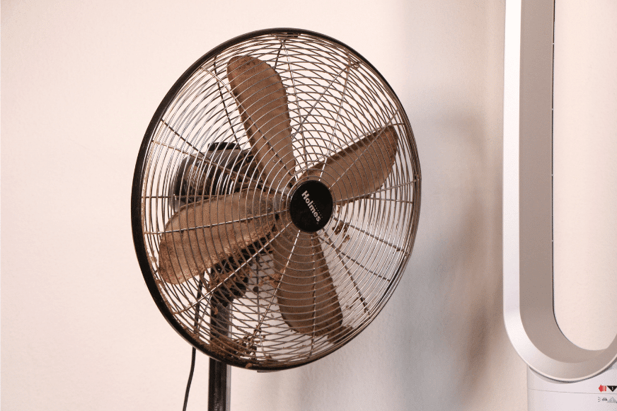 Hinter dem Schutzgitter bei einem alten Standventilator mit Rotorblättern befinden sich Staubbollen